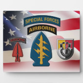 第3次特殊部隊(空挺部隊) フォトプラーク (正面)