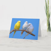 第3輪 カード (正面)