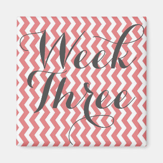 第3週マグネット マグネット