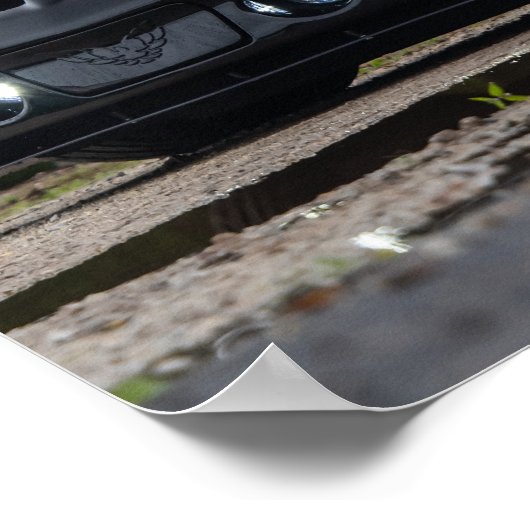 第4世代WS6 Ram Air Trans Am ポスター (角)