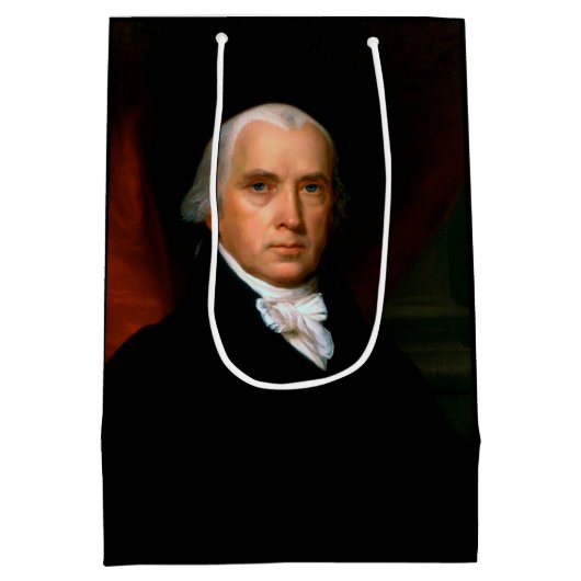 第4代大統領ジェームズ・マディソン：コロニアルアメリカ ミディアムペーパーバッグ (裏面)