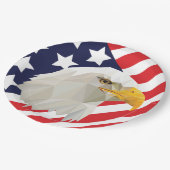 第4回7月イーグル国旗のICパーティー紙プレート ペーパープレート (アングル)
