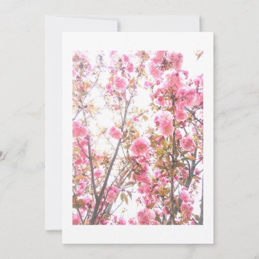 第4期ピンクさくらんぼフローラ4カスタム歳 招待状 (裏面)