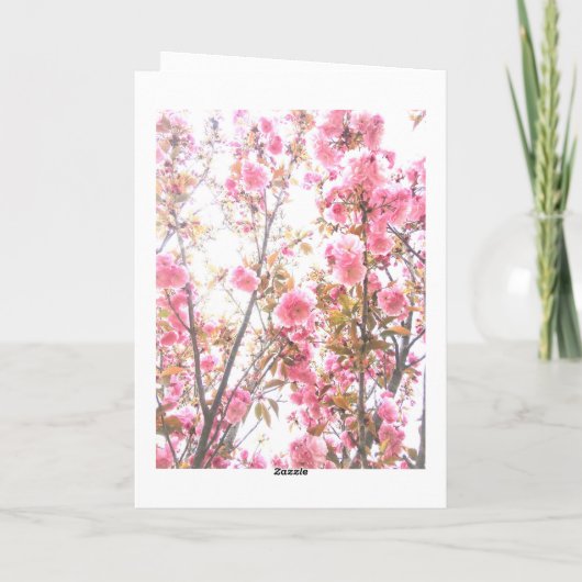 第4期ピンクフローラ第4カスタム期さくらんぼ 招待状 (裏面)