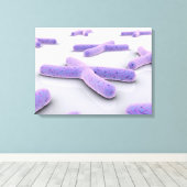 第4染色体の概念像 キャンバスプリント (インサイチュ (ウッドフロア))