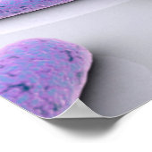 第4染色体の概念像 ポスター (角)