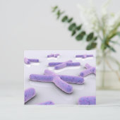 第4染色体の概念像 ポストカード (スタンド正面)