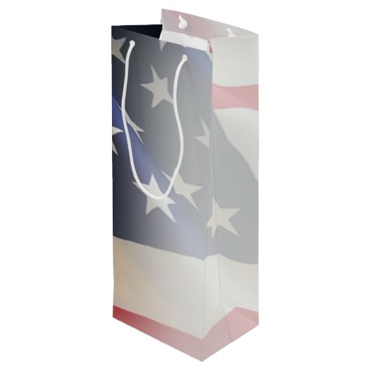 第44メディカルブリデンドラゴンメディックスワイン抱き枕 ワインギフトバッグ (裏面アングル)