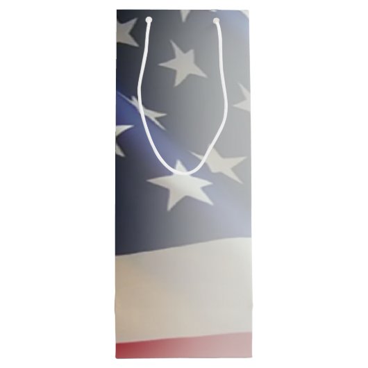 第44メディカルブリデンドラゴンメディックスワイン抱き枕 ワインギフトバッグ (裏面)