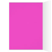 第5回生花グラフィックカスタムイエローピンク (内側 (左))