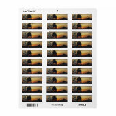 第5次特殊部隊sfグリーンベレテトナムナム戦争 ラベル (フルシート)