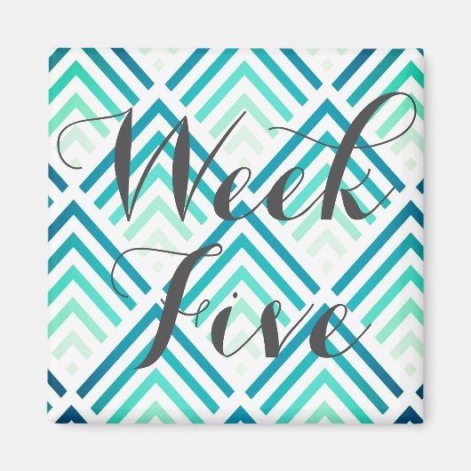 第5週 マグネット (正面)