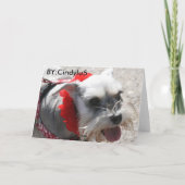 第50回バースデー カード (裏面)