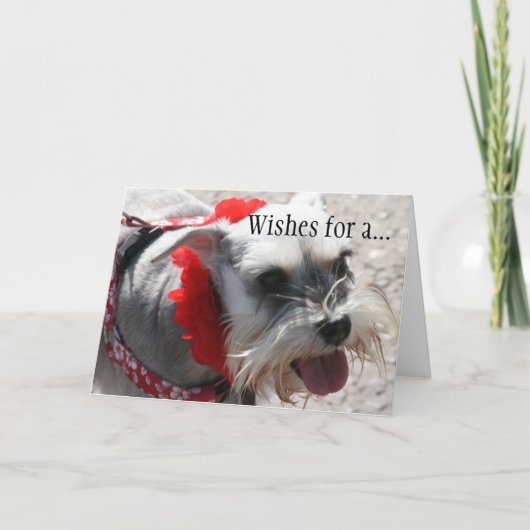 第50回バースデー カード (正面)