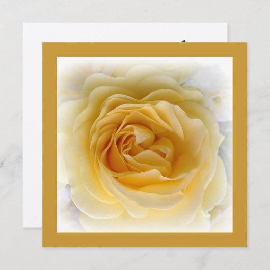 第50記念日の招待状-柔らかい金ゴールドは上がりました 招待状 (正面/裏面)