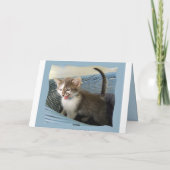 第50誕生日熱狂する子猫 カード (裏面)