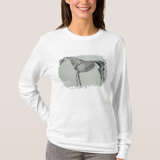 第5 AnatoのためのジョージStubbsの|終えられた勉強 Tシャツ (正面)