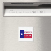 第6世代先住民テシャン国旗 マグネット (インサイチュ (食洗機))