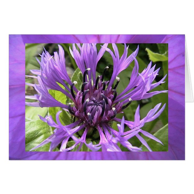 第7チャクラ (正面横)