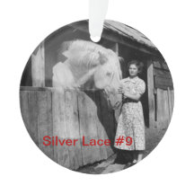 第70記念日の銀製のレース#9のオーナメント