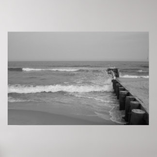 第79回セントロンビーチ島 ポスター