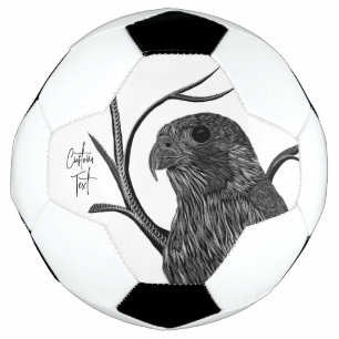 筆跡のある木の枝のペレグリン《鳥》ハヤブサ サッカーボール