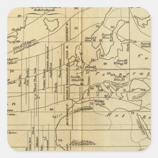 等温図 スクエアシール (正面)