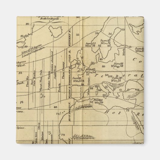 等温図 マグネット (正面)