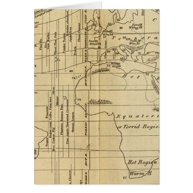 等温線図 (正面)