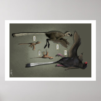 等身大の三鳥翅目 ポスター