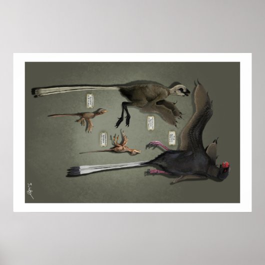 等身大の三鳥翅目 ポスター (正面)