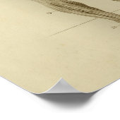 筋動脈解剖学プリントヴィンテージ ポスター (角)