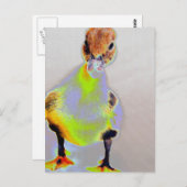 筋白熱［赤熱］光を放つ腫 ポストカード (正面/裏面)