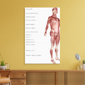 筋系の図 キャンバスプリント (インサイチュ (リビング))