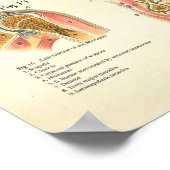 筋肉と関節の人間の解剖学ポスター ポスター (角)