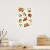 筋肉と靭帯の肩の解剖学ポスター ポスター (キッチン)