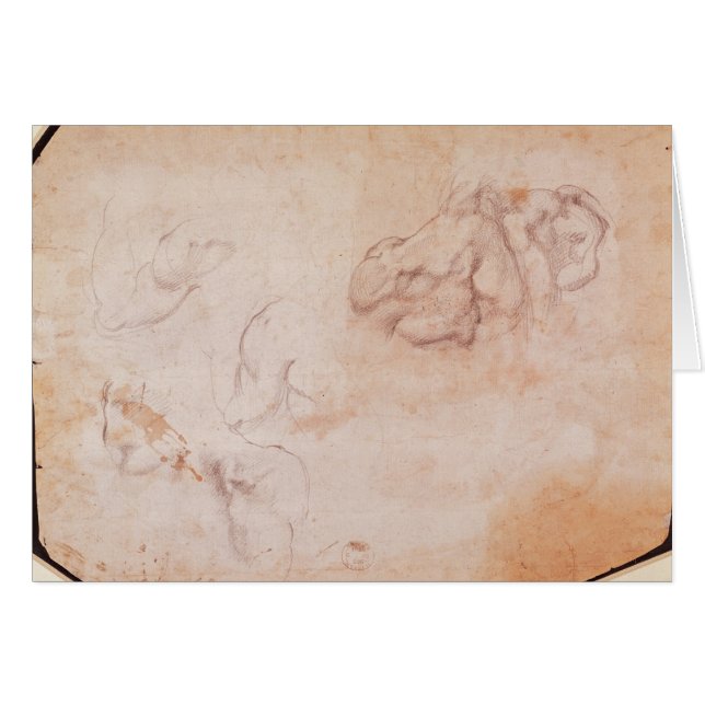 筋肉の勉強 (正面横)