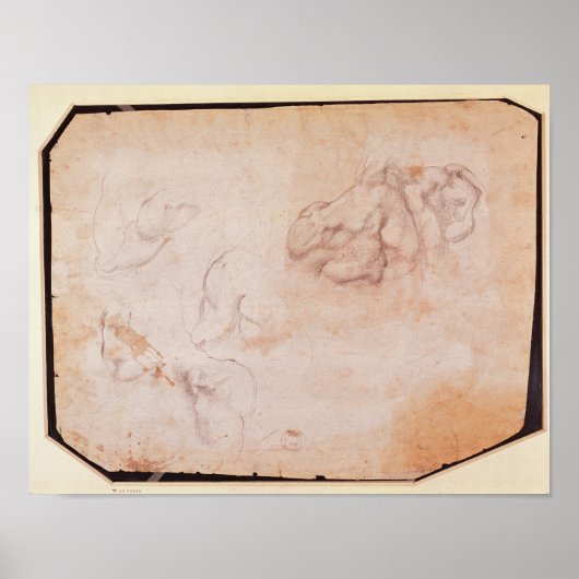 筋肉勉強 ポスター (正面)