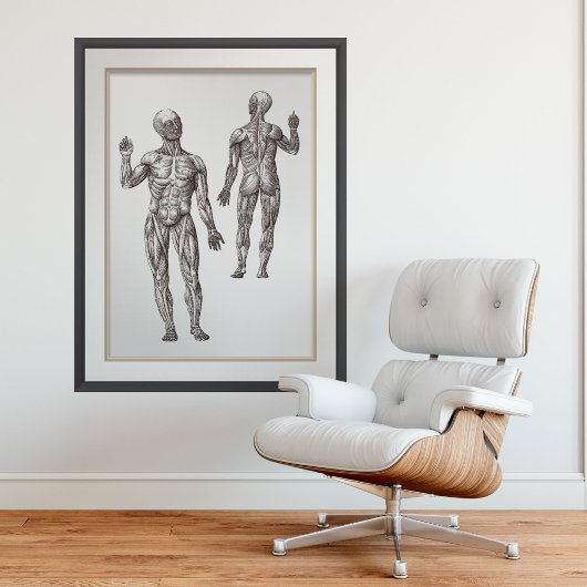 筋肉男性スポーツ医学人間の解剖学 ポスター