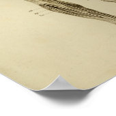 筋肉神経解剖学プリントヴィンテージ ポスター (角)