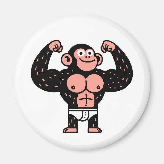 筋肉 マグネット (正面)