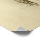 筋解剖学ヴィンテージプリント ポスター (角)