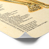 筋骨格解剖チャート女性 ポスター (角)