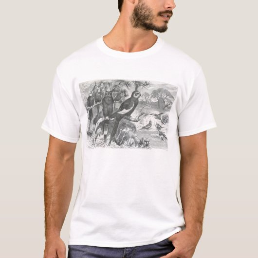 答えE.ブレーム-コッカティエルズ Tシャツ (正面)
