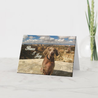 策略の平和および喜び シーズンカード