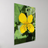 箔プリントポスターアート及びデザイン 箔ポスター (レイダウン)