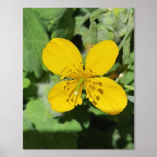 箔プリントポスターアート及びデザイン 箔ポスター