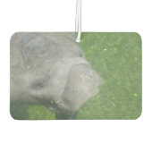 管理スマイル カーエアーフレッシュナー (裏面)