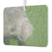 管理スマイル カーエアーフレッシュナー (左)