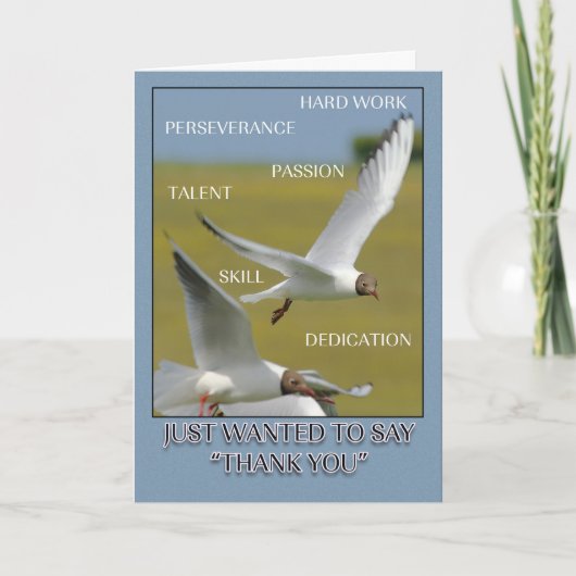 管理プロフェッショナルデイカードと黒He シーズンカード (正面)